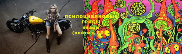 а пвп мука Абдулино