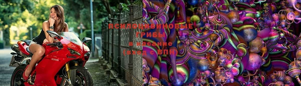 а пвп мука Абдулино