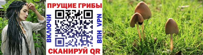 Галлюциногенные грибы Magic Shrooms  дарк нет формула  Усть-Илимск  даркнет сайт  OMG tor 